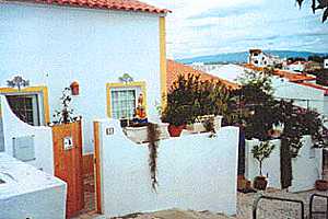 Casa Flora