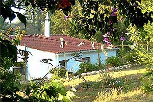 Casa Calendula - Haus Maracuja